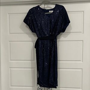 Navy Sequin Midi Dress